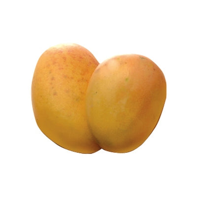 Mango Banilejo, Und